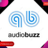 Audio buzz